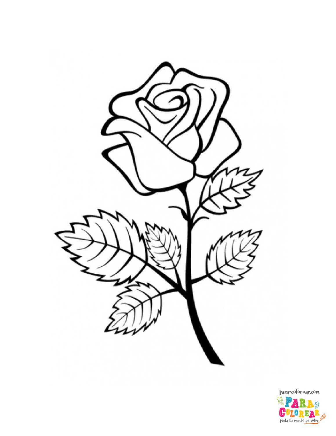 imagen de una rosa para colorear | Para-Colorear.com