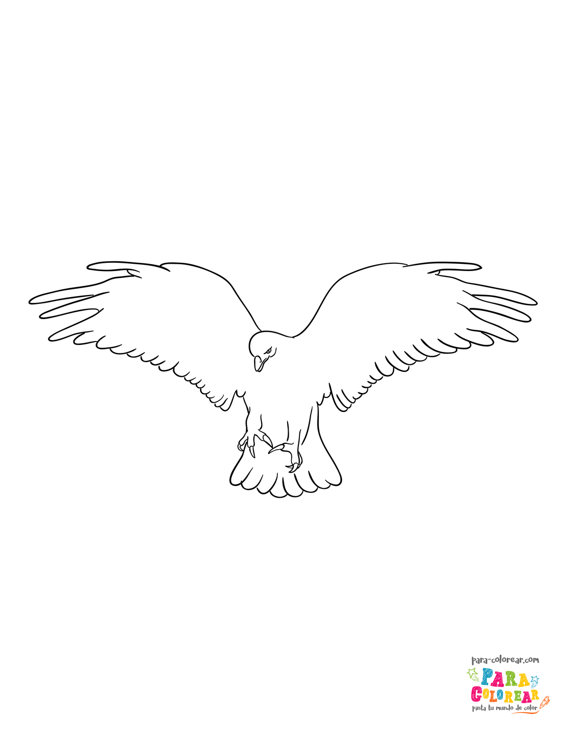 Dibujo de plantilla de águila volando para colorear 