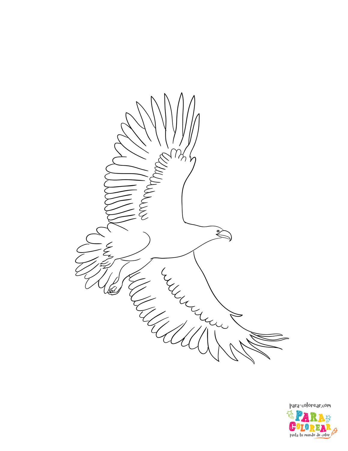 Dibujo de águila volando para colorear 