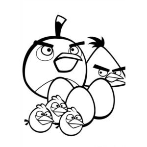 angry birds pajaros