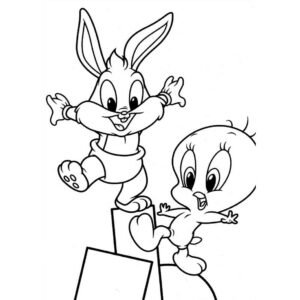 baby toons conejo bunny y piolin
