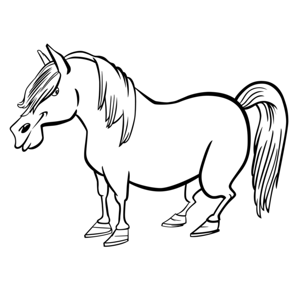 Caballo bonito