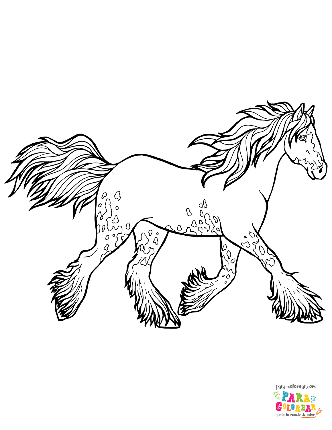 Dibujo de caballo con manchas para colorear 