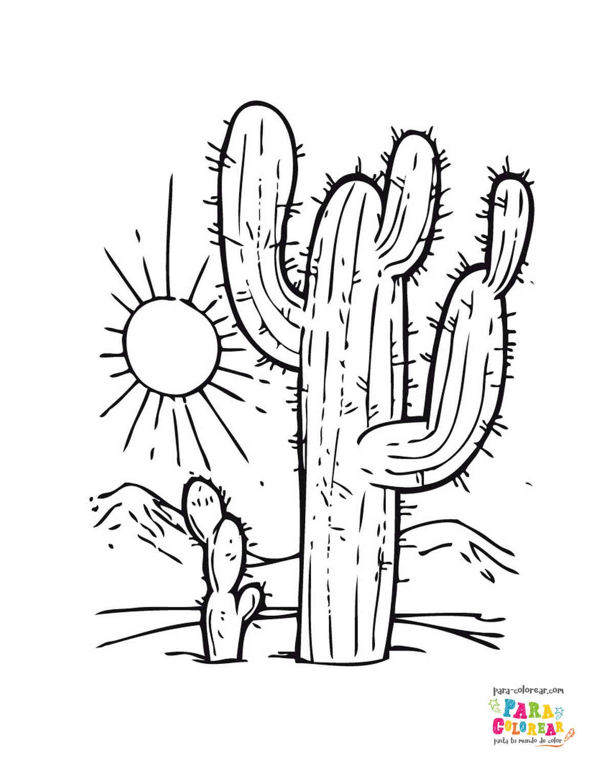 Dibujo de cactus desierto para colorear 