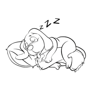 Dibujo perrito salchicha durmiendo