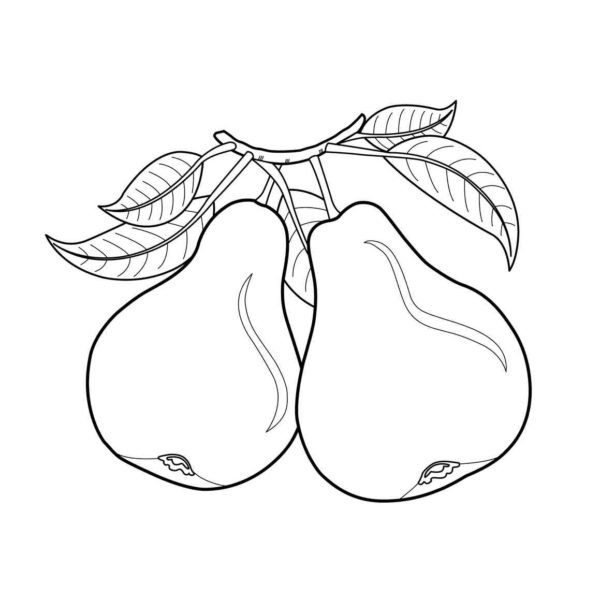 Dibujo de dos peras para colorear 