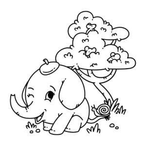 Elefante bebé co caracol