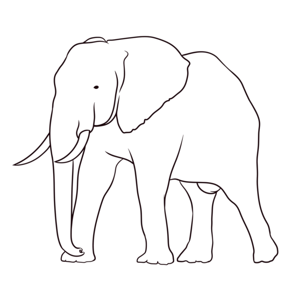  Dibujo de elefante bonito para colorear