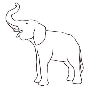Elefante levantando trompa