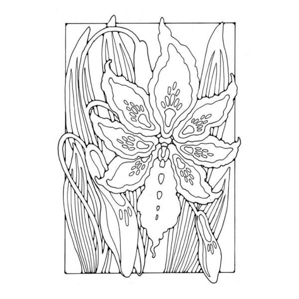Flor de azuzena