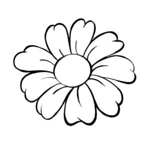 Flor de cinco pétalos