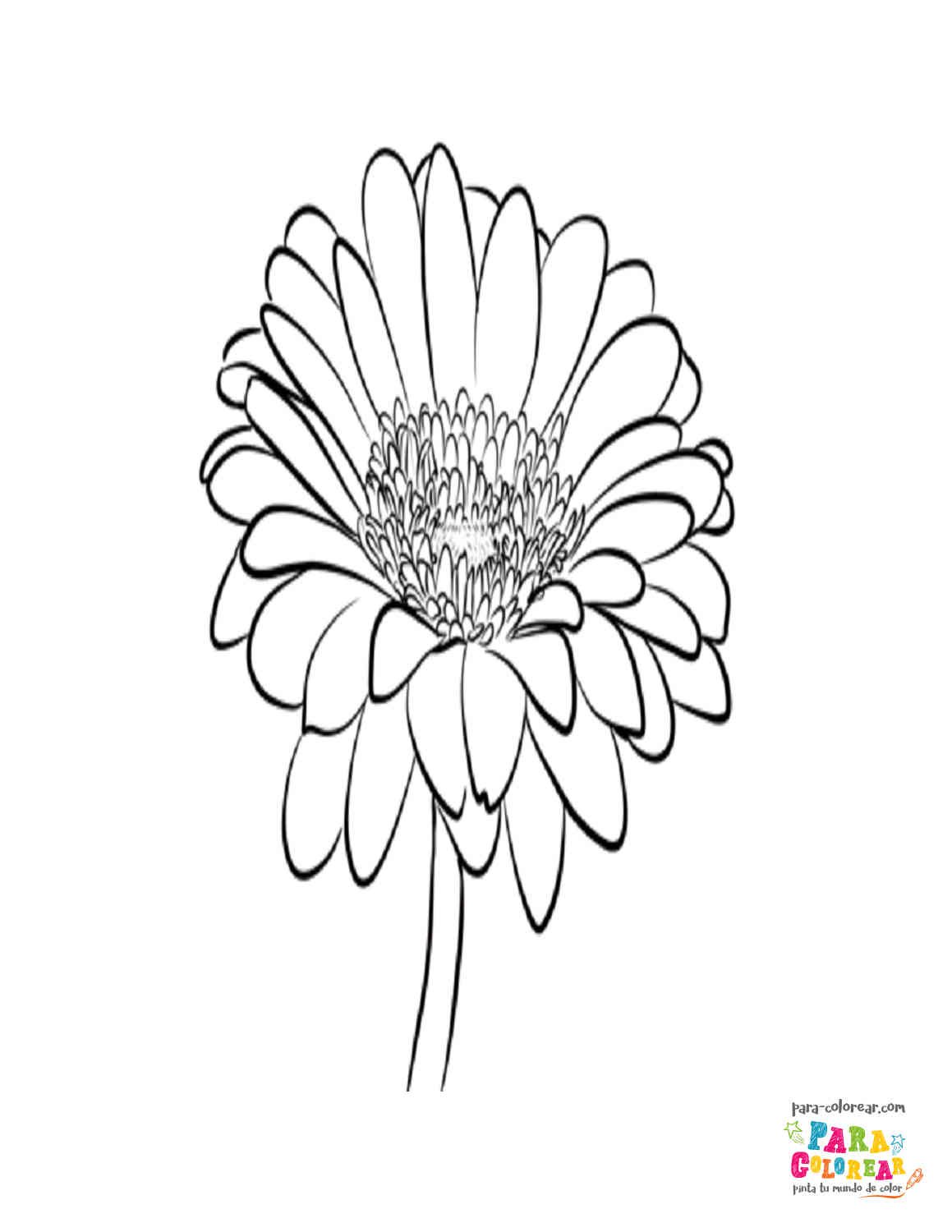 Dibujo de flor margarita para colorear 