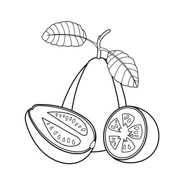 Guayaba