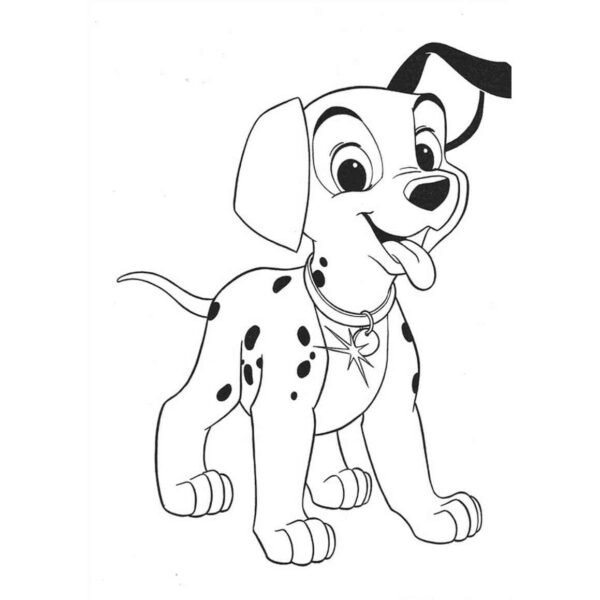 patch