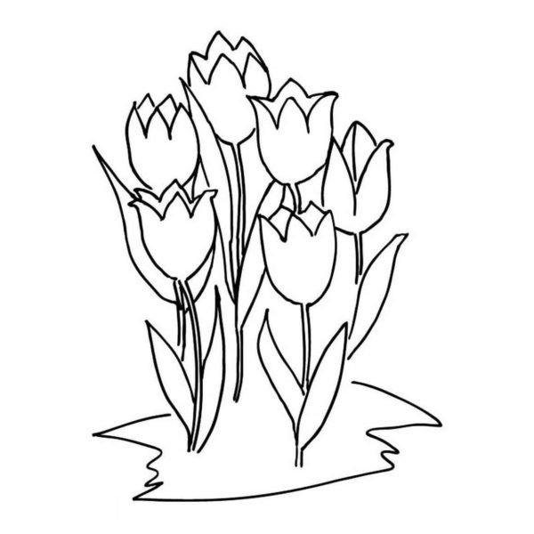 Ramillete tulipanes