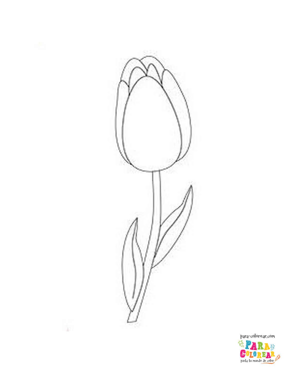 Dibujo de tulipán para colorear Para-Colorear.com.