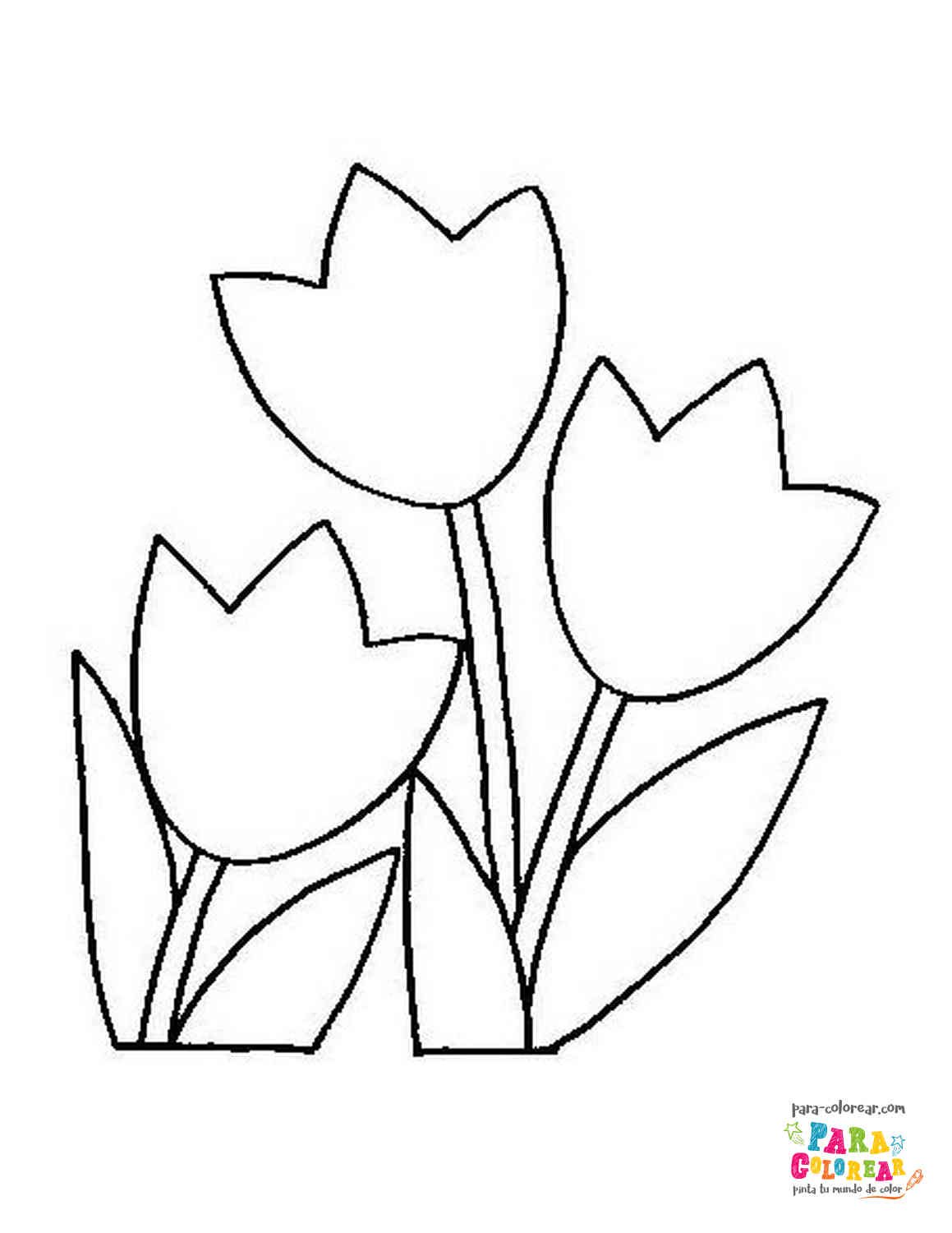 Dibujo de tulipanes sencillos para colorear 