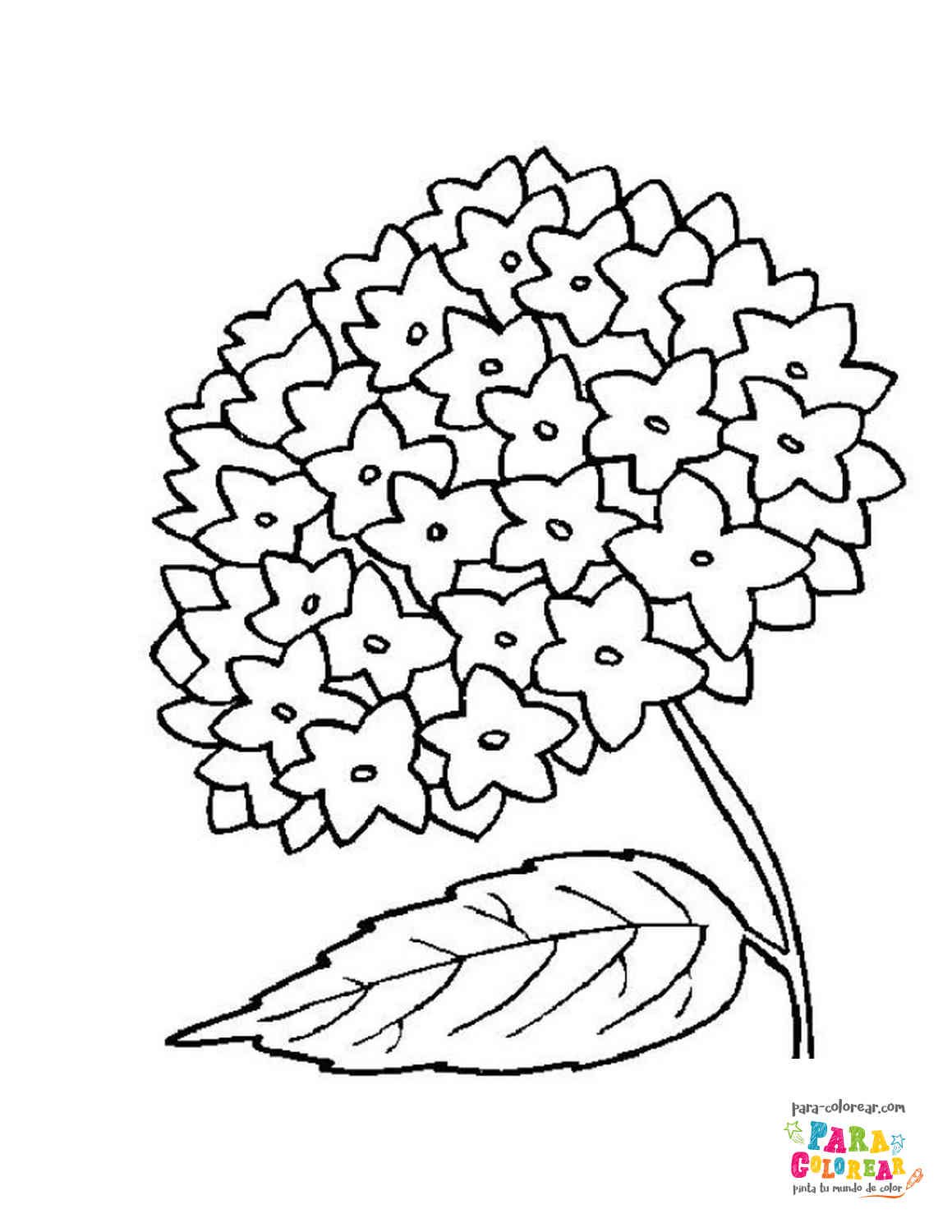 Dibujo de un ramo con muchas flores para colorear 